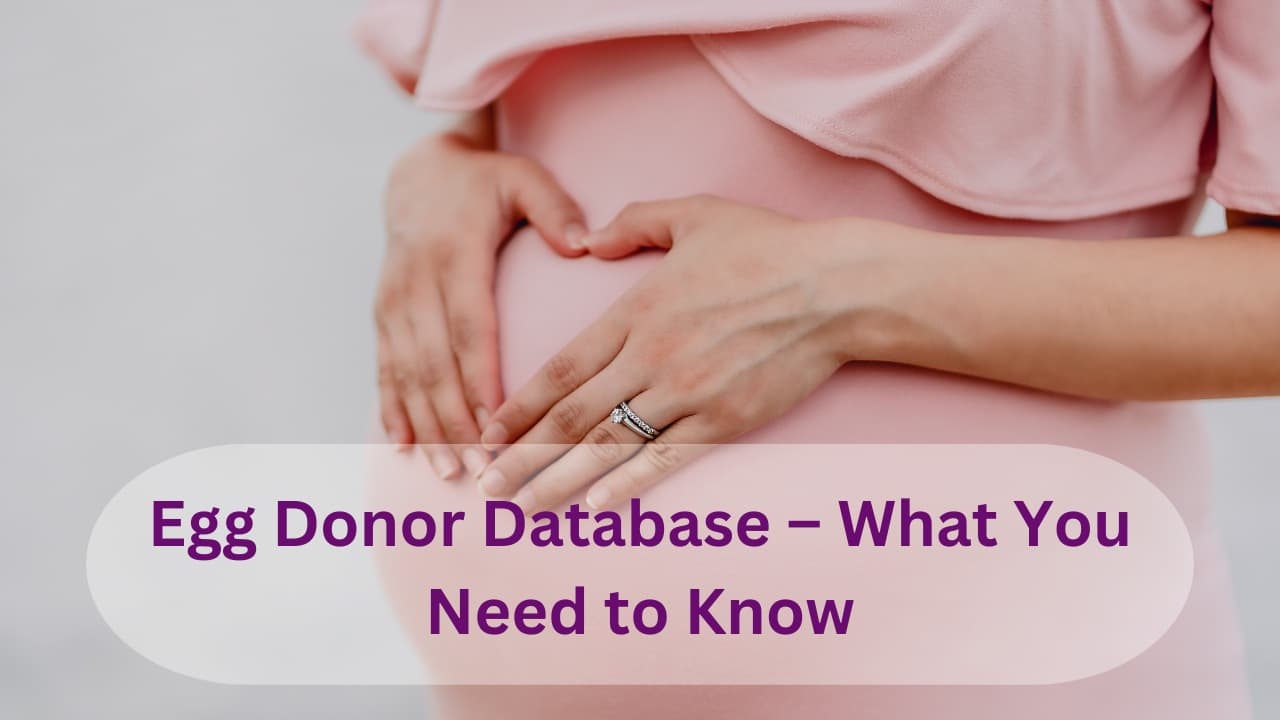Ægdonors database – Hvad du har brug for at vide