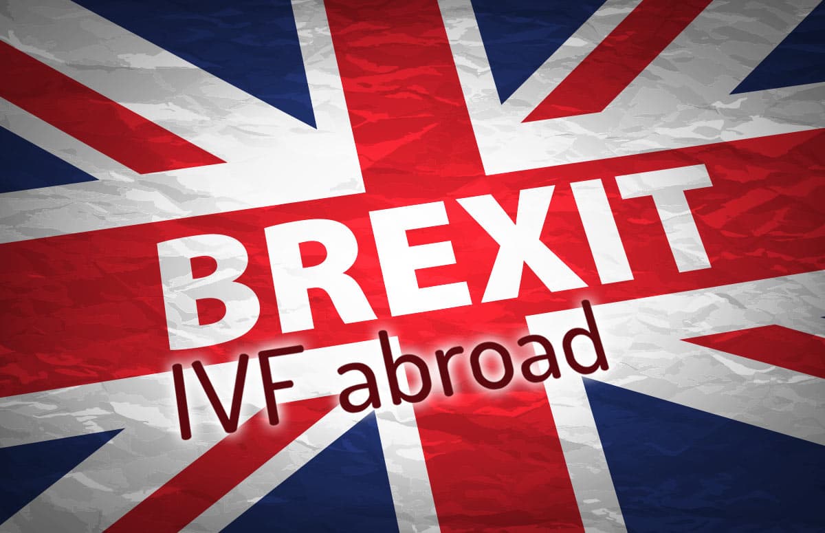 Brexit – Hvordan vil dette påvirke de britiske patienter ved at få adgang til ægdonationsprogrammer i udlandet?