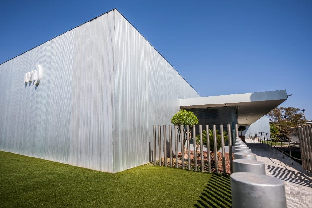 Ægdonation – IVI Mallorca