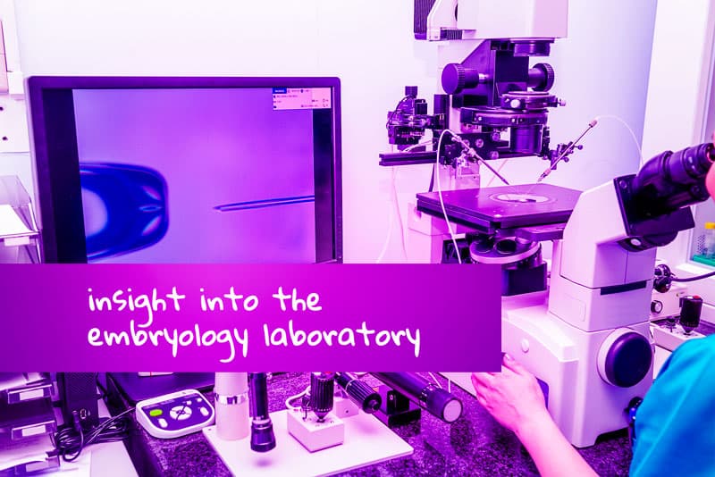 IVF embryoudvikling – indsigt i embryolaboratoriet