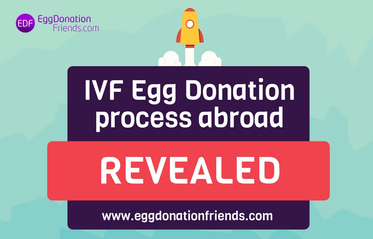 IVF med donor æg – Den trinvise proces